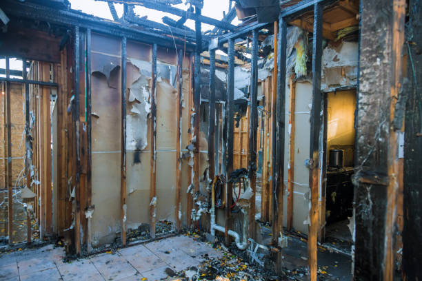 Professional Fire Damage Removal technician working in Valley View, OH